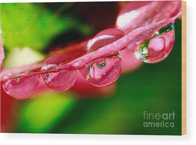 Macro Wood Print featuring the photograph Water Drop Reflection by Elisabeth Derichs