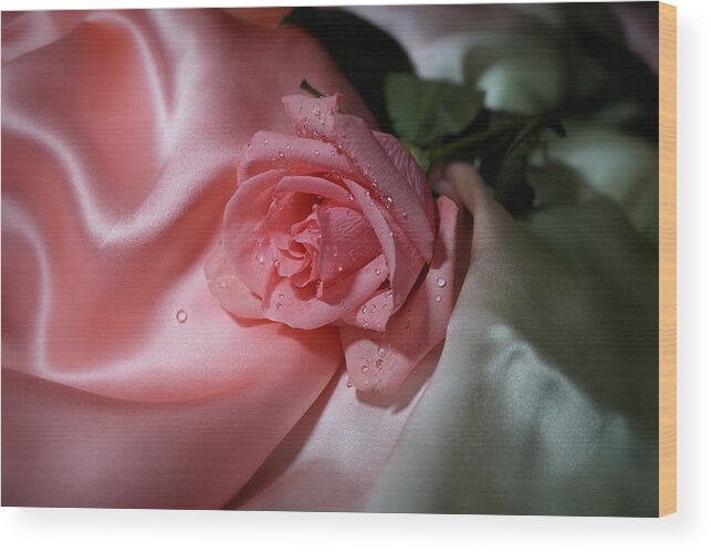 Rose Wood Print featuring the photograph Pink Rose on the silk by Lilia D