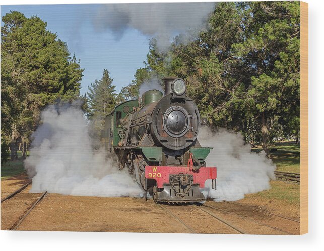 Steam Wood Print featuring the photograph Steam Loco W920 by Robert Caddy