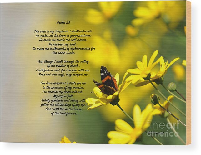 Comfort Wood Print featuring the photograph Psalm 23 by Debby Pueschel