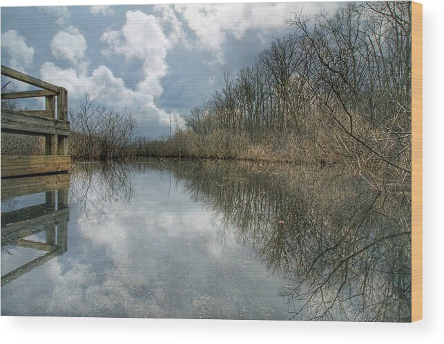 Reflect Wood Print featuring the photograph Reflection by Jackson Pearson