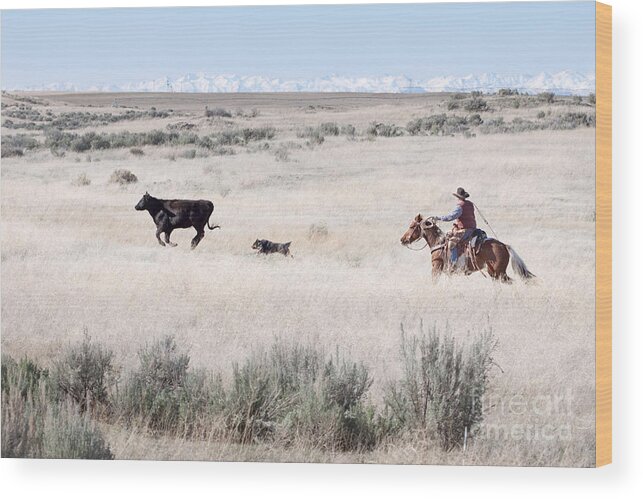 Cowboy Wood Print featuring the photograph Round Up #1 by Cindy Singleton