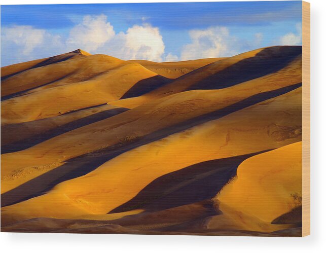 Sand Wood Print featuring the photograph Sand Dune Curves by Scott Mahon