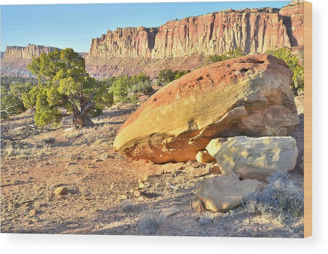 Capitol Reef National Park Wood Print featuring the photograph Scenic Drive in Capitol Reef #3 by Ray Mathis