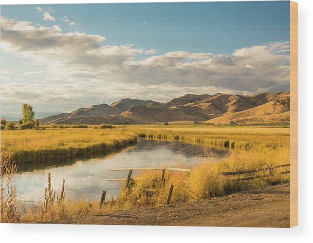5dmkiv Wood Print featuring the photograph Silver Creek by Mark Mille