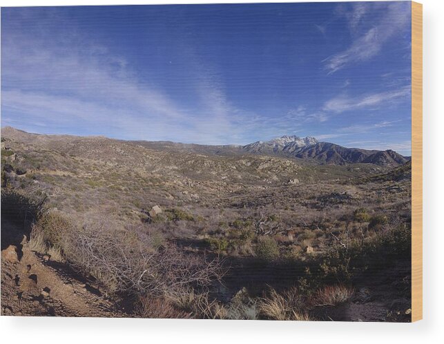 Mountain Wood Print featuring the photograph Snowy Four Peaks Arizona #1 by Brian Lockett