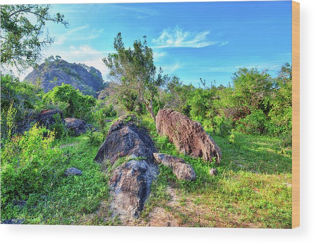 Adventure Wood Print featuring the photograph stunning landscape with rocks in the Yala Nationalpark #1 by Gina Koch