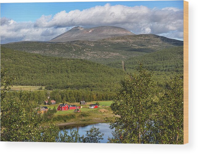 Summer Wood Print featuring the photograph Summer in the Arctic #1 by Pekka Sammallahti