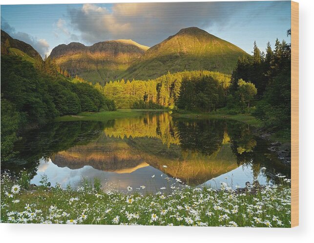 Glencoe Wood Print featuring the photograph Summer reflections in Glencoe #1 by Stephen Taylor