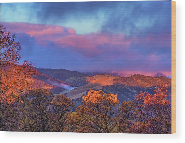 Landscape Wood Print featuring the photograph Sunrise Light #1 by Marc Crumpler