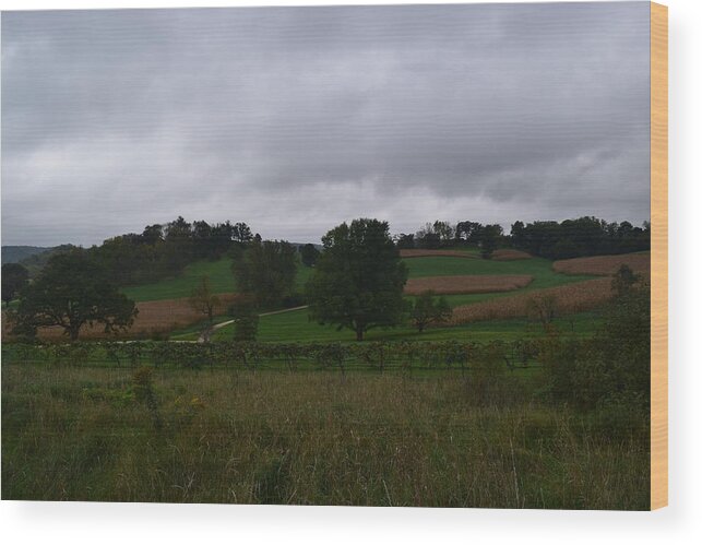 Frank Wood Print featuring the photograph Taliesin Hills #1 by Curtis Krusie