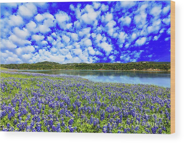 Austin Wood Print featuring the photograph Texas Hill Country by Raul Rodriguez