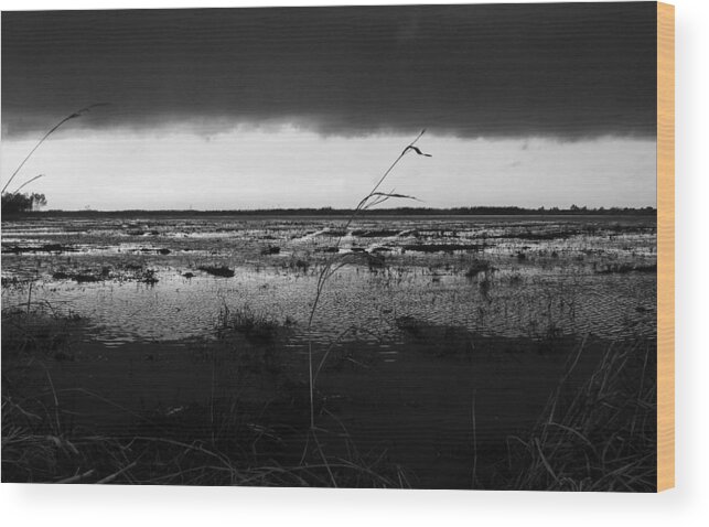 Clouds Wood Print featuring the photograph The Front #1 by Barry Bohn