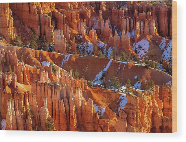 Natioanl Park Wood Print featuring the photograph The Hoodoos #1 by Jonathan Nguyen
