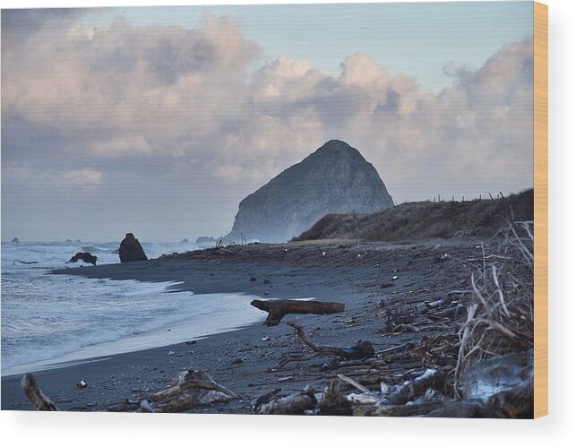 The Lost Coast Wood Print featuring the photograph The Lost Coast #1 by Maria Jansson