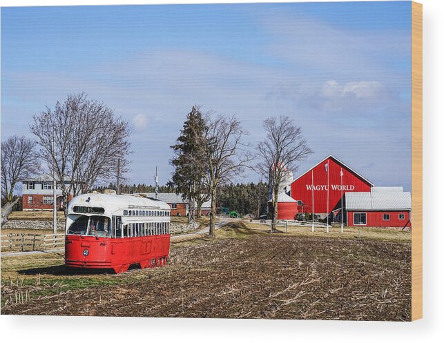 55 F1.8 Wood Print featuring the photograph The red farm #1 by Nick Mares