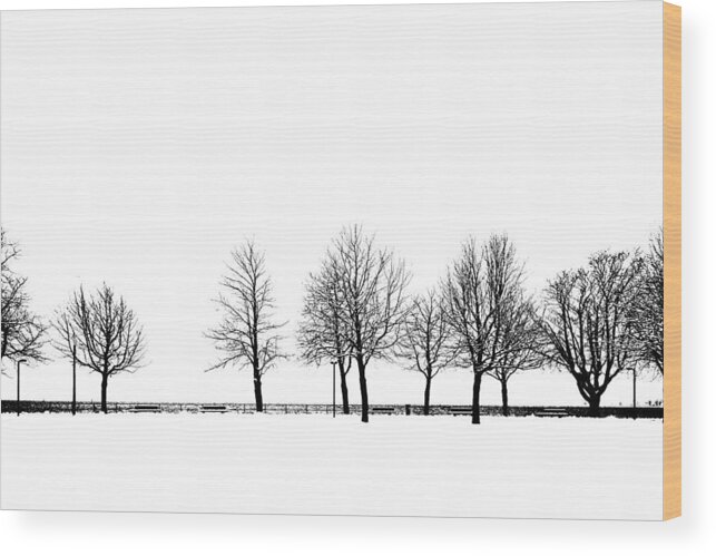 Tree Wood Print featuring the photograph Trees #1 by Chevy Fleet