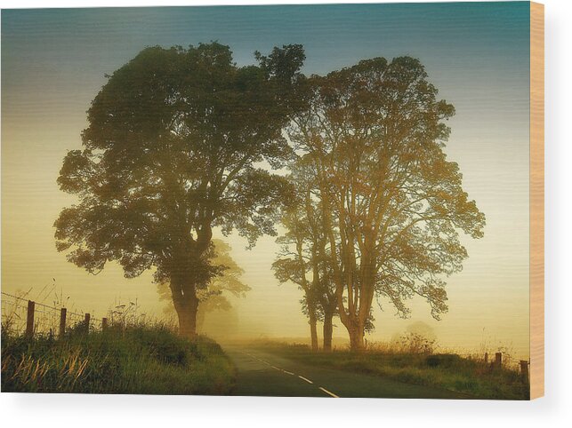 Scotland Wood Print featuring the photograph Twilight Guardians. Misty Roads of Scotland by Jenny Rainbow