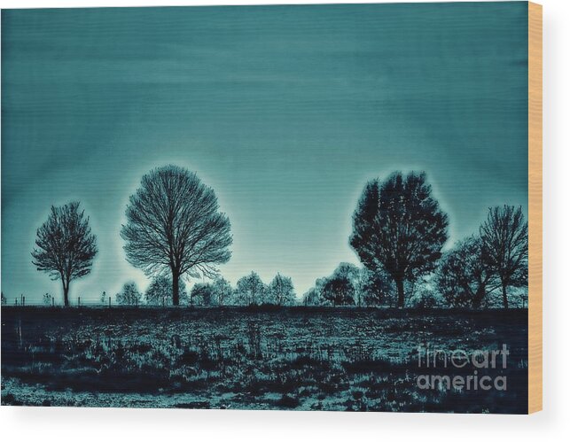 Trees Artistic Wood Print featuring the photograph Two Trees #1 by Rick Bragan