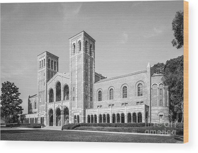 Aau Wood Print featuring the photograph University of California Los Angeles Royce Hall by University Icons