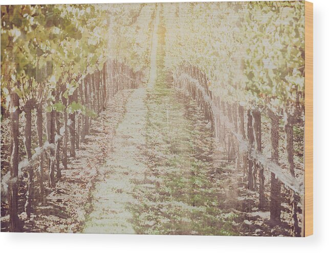 Green Wood Print featuring the photograph Vineyard in Autumn with Vintage Film Style Filter #1 by Brandon Bourdages