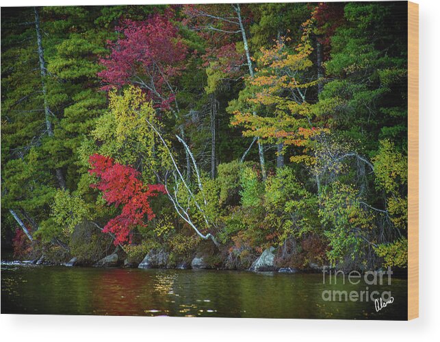 Water Wood Print featuring the photograph Waters Edge by Alana Ranney