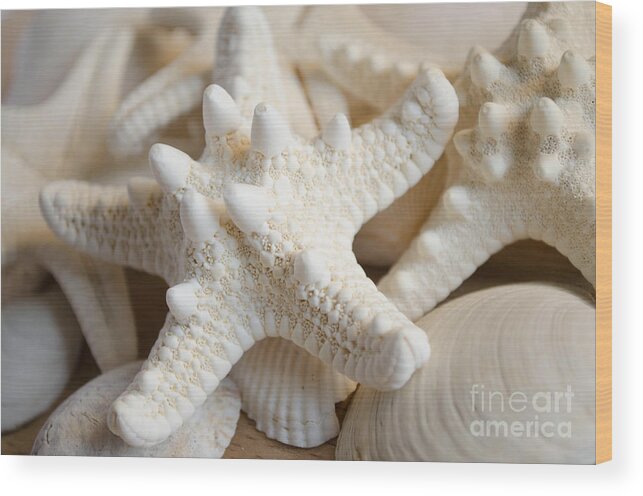 Starfish Wood Print featuring the photograph White starfish #1 by Andrea Anderegg