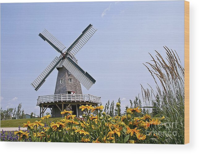 Windmill Wood Print featuring the photograph Windmill #1 by Teresa Zieba
