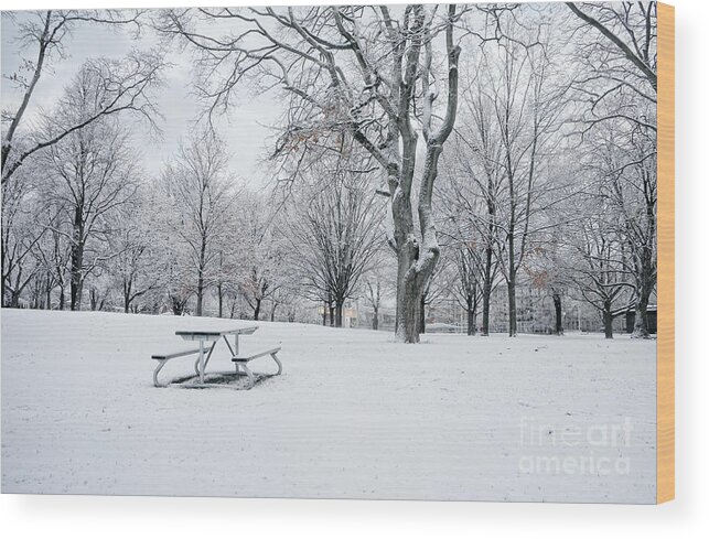 Snow Wood Print featuring the photograph Winter Park #1 by Charline Xia