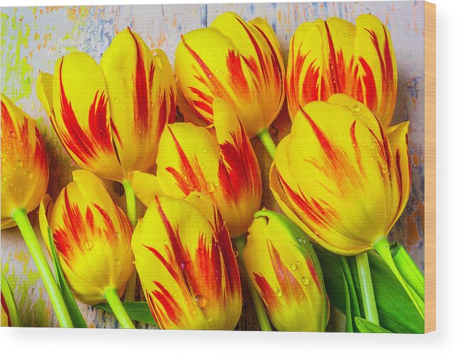 Tulip Wood Print featuring the photograph Wonderful Red Yellow Tulips #1 by Garry Gay