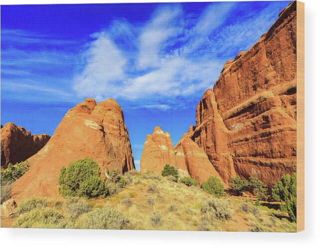 Arches National Park Wood Print featuring the photograph Arches National Park #11 by Raul Rodriguez