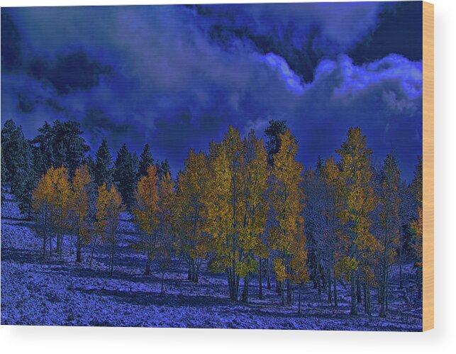 Autumn Wood Print featuring the photograph Rocky Mountain Fall #126 by Mark Smith