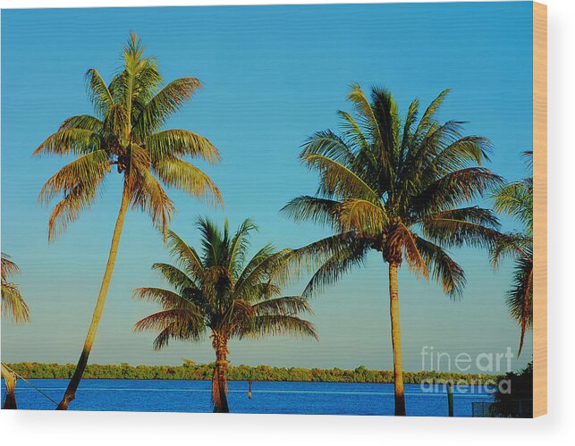 Palm Trees Wood Print featuring the photograph 13- Palms In Paradise by Joseph Keane