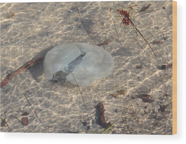 Sea Wood Print featuring the photograph Brighton beach #14 by Masami Iida