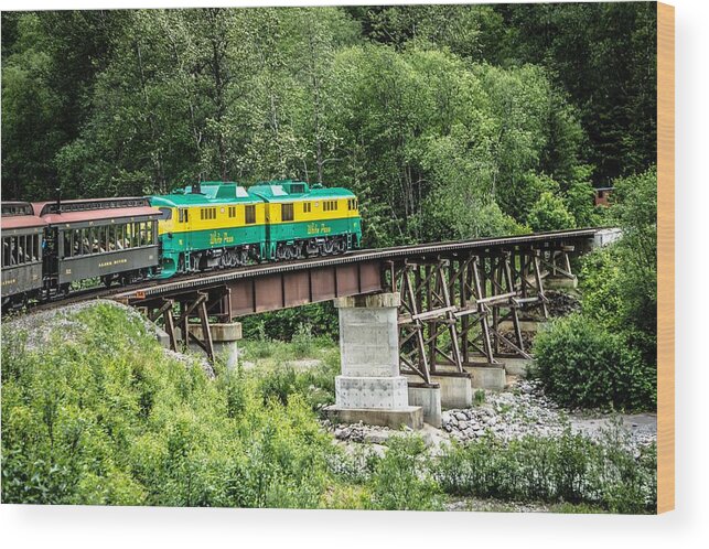 White Wood Print featuring the photograph Scenic train from Skagway to White Pass Alaska #14 by Alex Grichenko