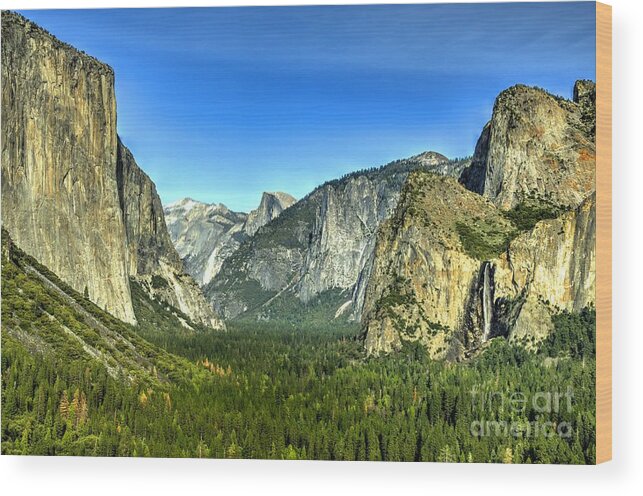 Yosemite Wood Print featuring the photograph In Yosemite #15 by Marc Bittan