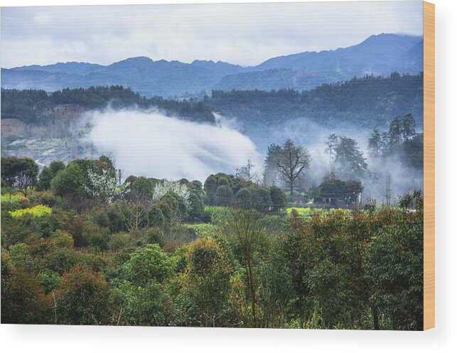 Nature Wood Print featuring the photograph Mountains scenery in the mist #15 by Carl Ning