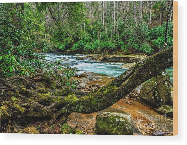 Elk River Wood Print featuring the photograph Back Fork of Elk River #16 by Thomas R Fletcher
