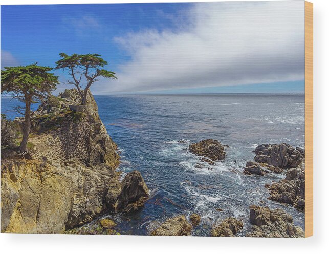 17 Mile Drive Wood Print featuring the photograph 17 Mile Drive Pebble Beach by Scott McGuire