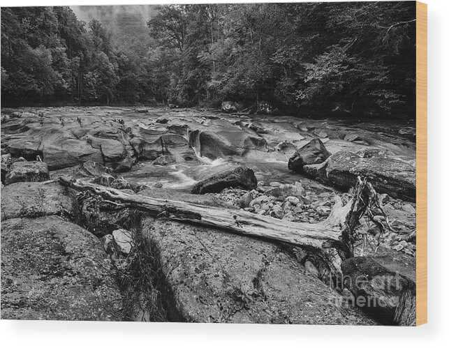 Williams River Wood Print featuring the photograph Williams River Summer #18 by Thomas R Fletcher
