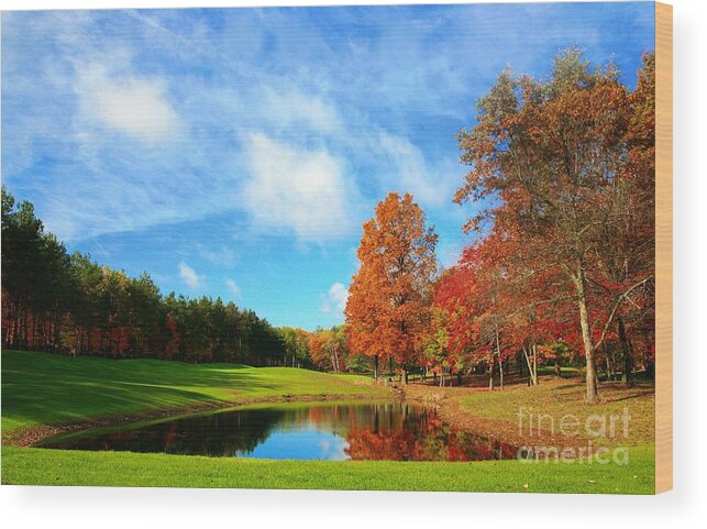Golf Wood Print featuring the photograph 18th Hole Par3 by Robert Pearson