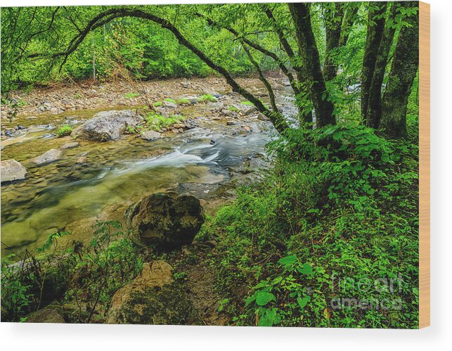 Williams River Wood Print featuring the photograph Williams River Summer #19 by Thomas R Fletcher