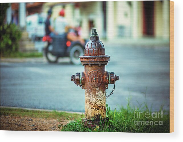 Cabaa Wood Print featuring the photograph 1956 Hydrant by Jose Rey