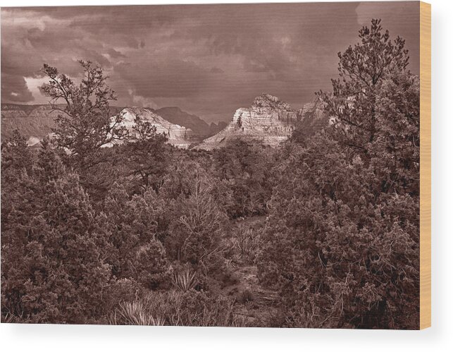 Canyon Wood Print featuring the photograph A Sliver of Light #2 by Leda Robertson