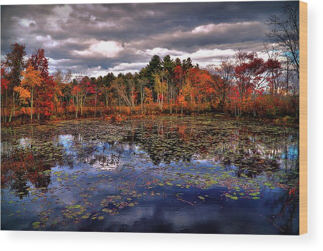 Autumn Wood Print featuring the digital art Autumn Landscape #2 by Lilia S