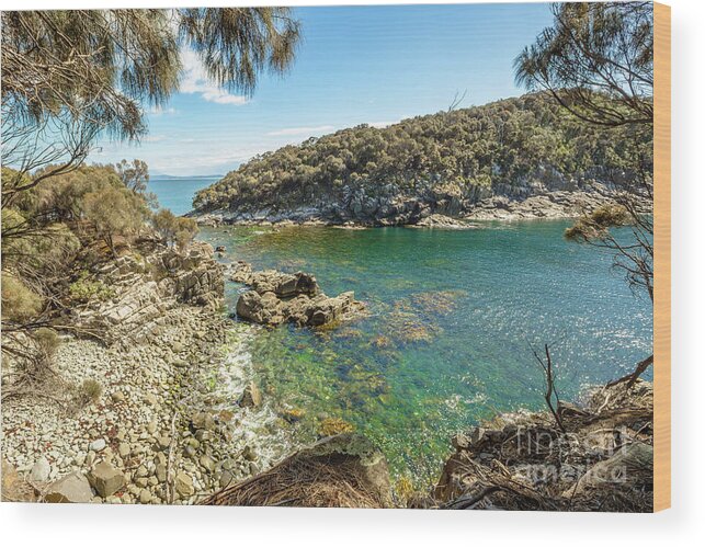 Australian Wood Print featuring the photograph Bruny Island Tasmania #2 by Benny Marty