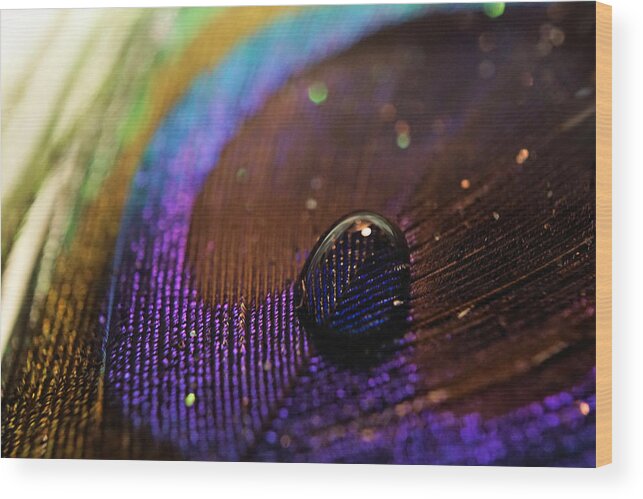 Feather Wood Print featuring the photograph Drop of Feather #2 by Lilia S