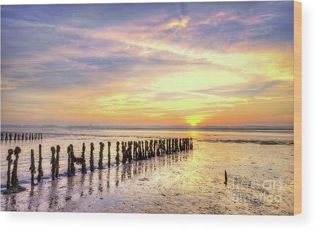 Bay Wood Print featuring the photograph Early Morning #2 by Svetlana Sewell