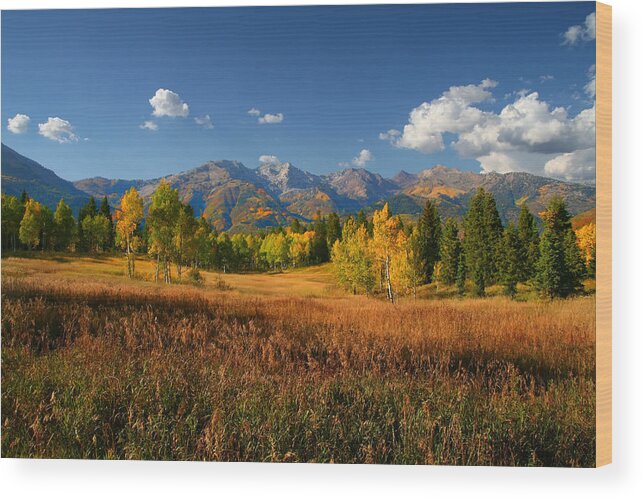 Autumn Wood Print featuring the photograph Fall Colors by Mark Smith