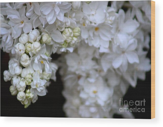 Spring Wood Print featuring the photograph Flowers #2 by Deena Withycombe
